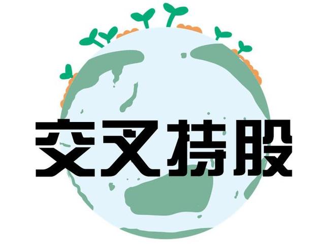 交叉持股安排设计(交叉持股怎么计算持股比例)南宁市
